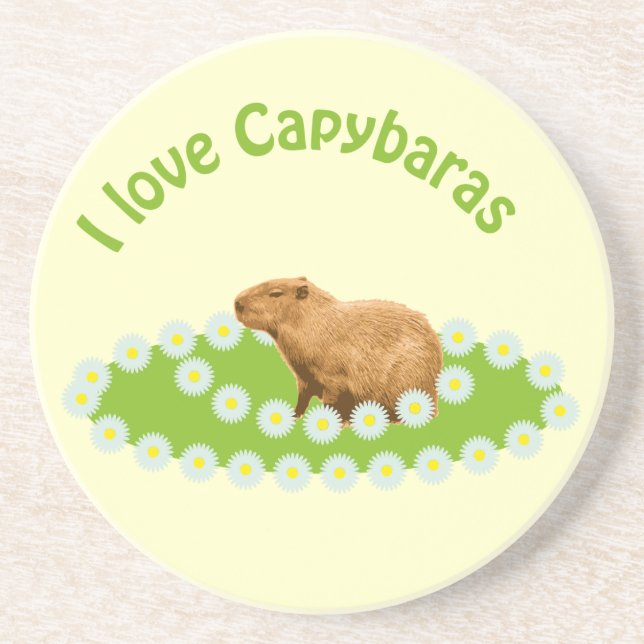 Jag älskar Capybaras Coasters Underlägg (Framsidan)