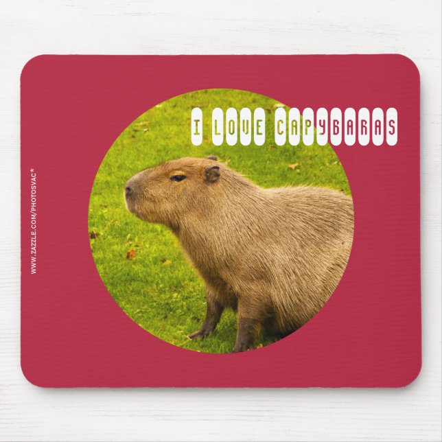 Jag älskar Capybaras Musmatta (Framsidan)