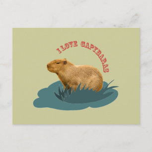 Jag älskar capybaras vykort