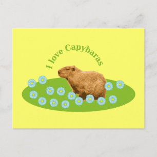 Jag älskar Capybaror Vykort