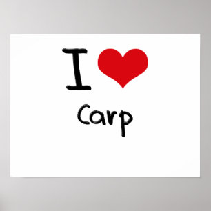 Jag älskar carpen poster