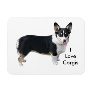 Jag älskar corgismagneten magnet
