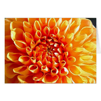 Jag älskar Dahlias, min kära älskling Hälsningskort