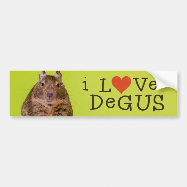 Jag älskar Degus Bildekal (Framsidan)