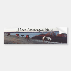 Jag älskar den Assateague ön - bildekal