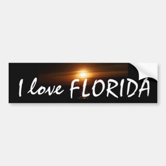 Jag älskar den FLORIDA bildekalet Bildekal
