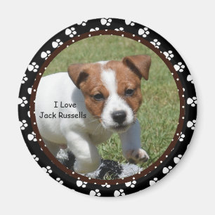 Jag älskar den jackRussells magneten Magnet