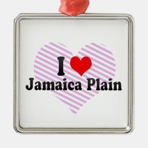 Jag älskar den Jamaica slätten, United States Julgransprydnad Metall