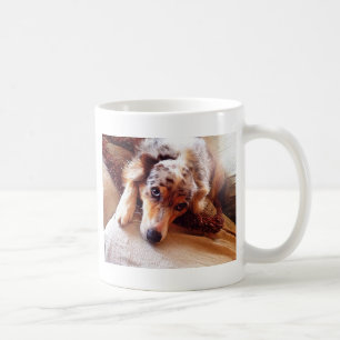 Jag älskar den mini- aussien! Söta Starr! Kaffemugg
