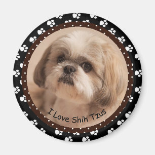 Jag älskar den Shih Tzus magneten Magnet
