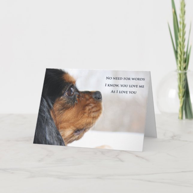 Jag älskar dig Cavalier King Charles Spaniel-kort Kort (Framsida)