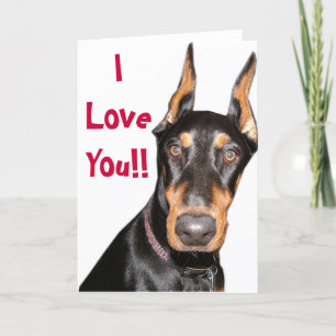 Jag älskar dig!! Dobermann Kort