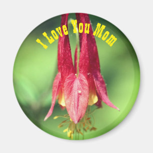 Jag älskar dig mamma Columbine blomma Magnet