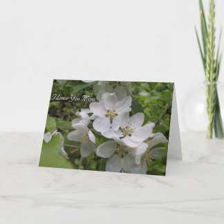 Jag älskar dig mamman kort