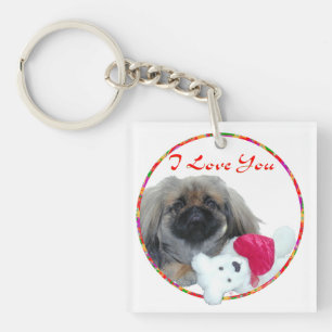 Jag älskar dig Pekingeser-valp