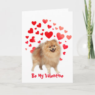 Jag älskar dig pomeranian hund valentin helgkort