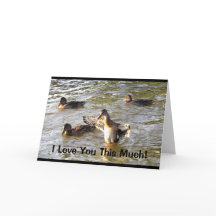 Jag älskar dig så här mycket fars dag