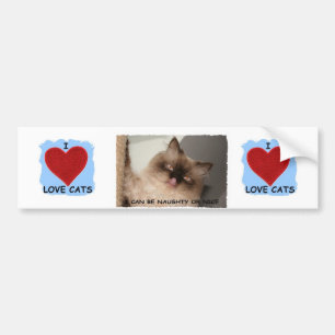 JAG ÄLSKAR EGENTLIGEN KATTER BILDEKAL