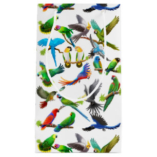 Jag älskar färgrika papegojor som gåvan hänger lös