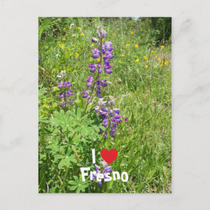 Jag älskar Fresno Vykort