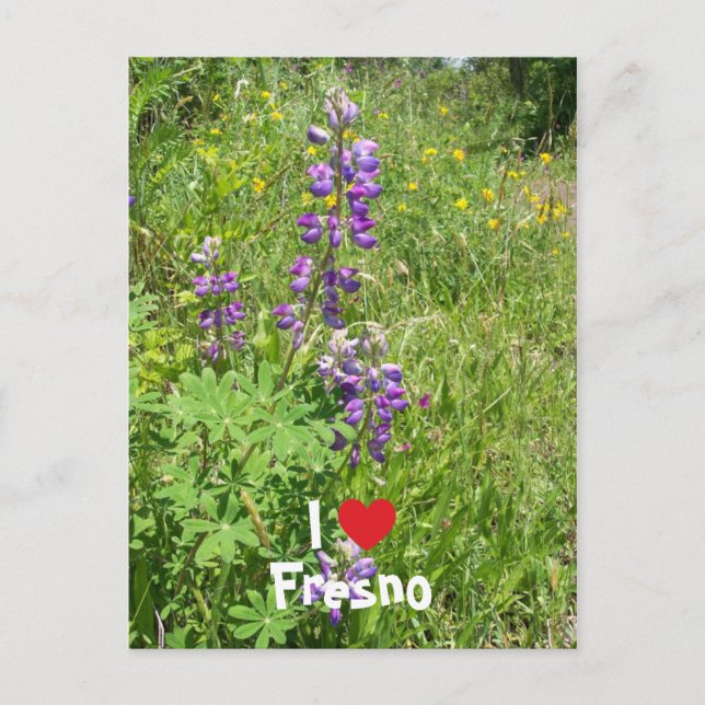 Jag älskar Fresno Vykort (Framsida)