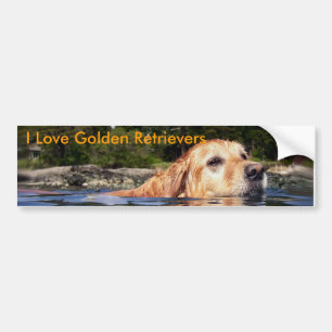 Jag älskar guld- Retrievers - bildekal