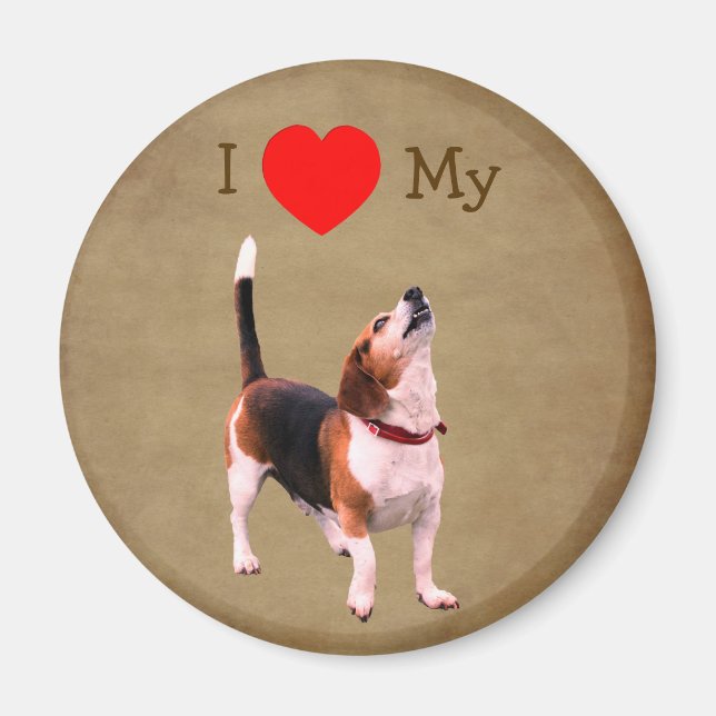 Jag älskar hjärta min Beagle hund  Magnet (Framsidan)