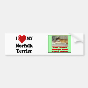 Jag älskar (hjärta) min hund för den Norfolk Bildekal