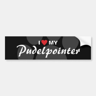 Jag älskar (hjärta) min Pudelpointer Bildekal