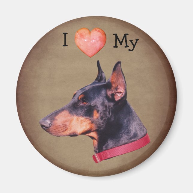 Jag älskar hjärtat min dobermannpinscher hund magnet (Framsidan)