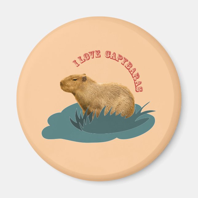 Jag älskar kapybaror Söt kapybaravän Magnet (Framsidan)