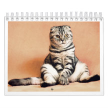Jag älskar katter kalender 2026