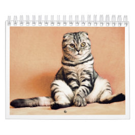Jag älskar katter kalender 2026