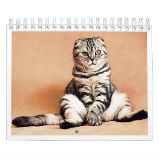 Jag älskar katter kalender 2026