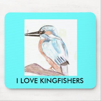 JAG ÄLSKAR KINGFISHERS MUSMATTA