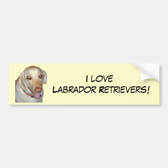 Jag älskar Labrador Retrievers! Bildekal (Framsidan)