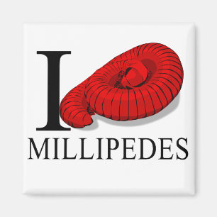 Jag älskar Millipedesmagneter Magnet