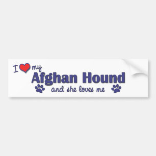 Jag älskar min afghanska hund (den kvinnliga bildekal