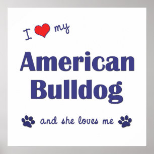 Jag älskar min amerikanbulldogg (den kvinnliga poster