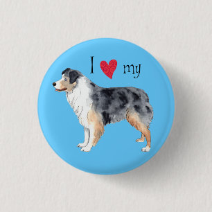 Jag älskar min australian shepherd knapp