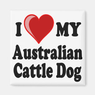 Jag älskar min australiensiska nötkreaturhund magnet