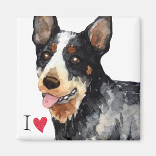 Jag älskar min australiensiska nötkreaturhund magnet