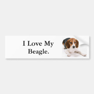 Jag älskar min Beagle. Bildekal