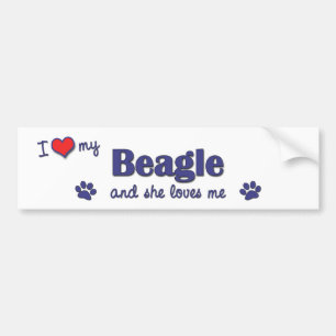 Jag älskar min Beagle (den kvinnliga hunden) Bildekal