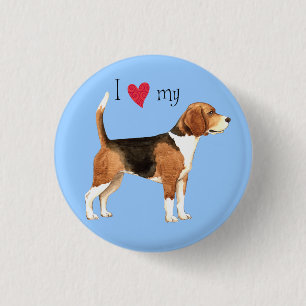 Jag älskar min Beagle Knapp