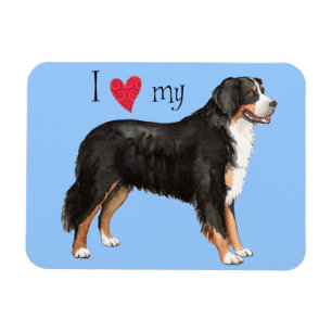 Jag älskar min Bernese berghund Magnet