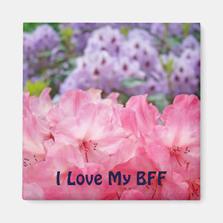 Jag älskar min BFF magnet Ljus rosa Rhodies magnet
