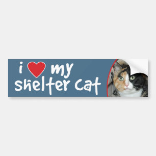 Jag älskar min bildekal/dekal för skyddkattCalico Bildekal