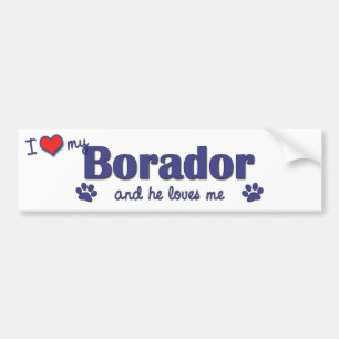 Jag älskar min Borador (den Male hunden) Bildekal