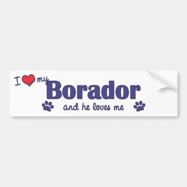 Jag älskar min Borador (den Male hunden) Bildekal (Framsidan)